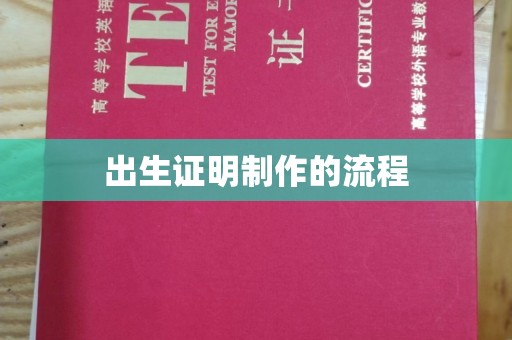 海东出生证明制作的流程