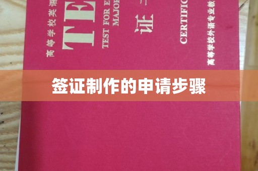 大肚签证制作的申请步骤