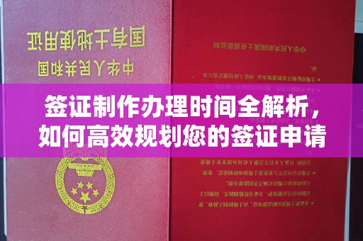 雅安签证制作办理时间全解析，如何高效规划您的签证申请流程